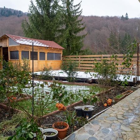 Casa Nicolas Buşteni Εξωτερικό φωτογραφία